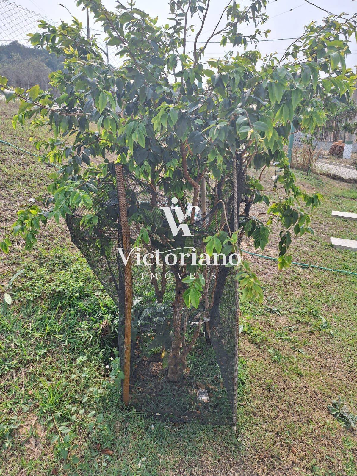 Casa de Condomínio à venda com 3 quartos, 340m² - Foto 39