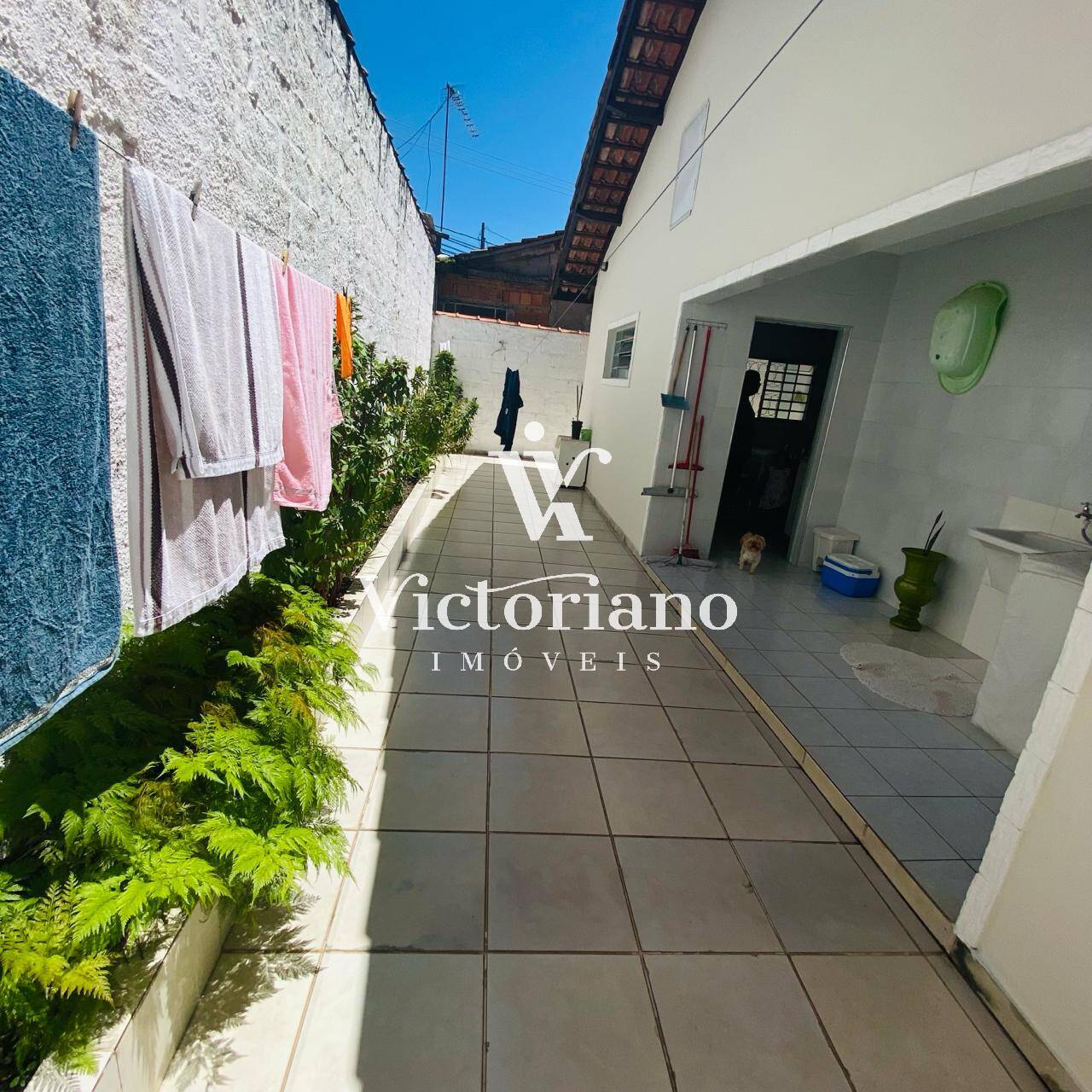 Casa, 3 quartos, 242 m² - Foto 33